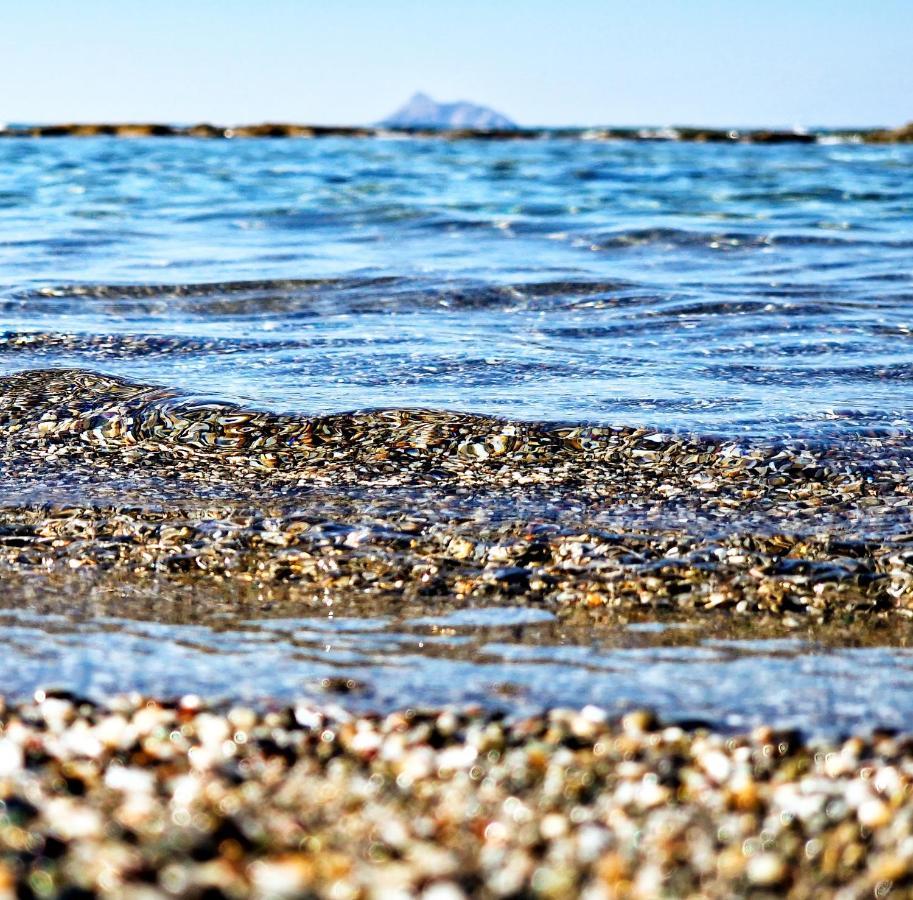 Alonia Hotel Καλαμάκι Εξωτερικό φωτογραφία