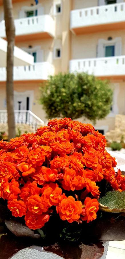 Alonia Hotel Καλαμάκι Εξωτερικό φωτογραφία